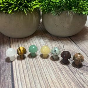 Mini crystal mushrooms set of 7